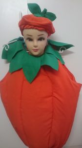 Kids Costumes to Hire - Pumpkin (2pce)